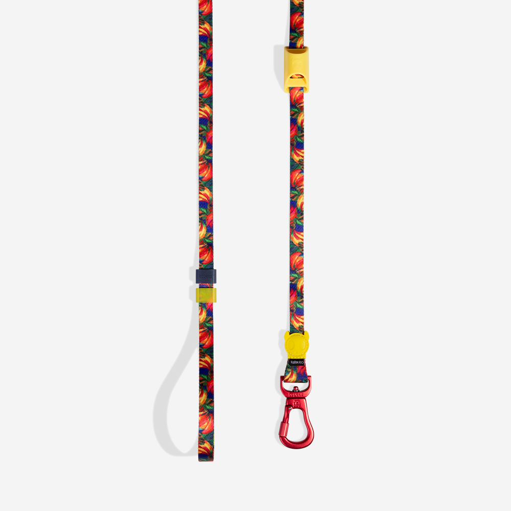 Guia Longa para Cachorros FARM Rio Samba | Imagem 3