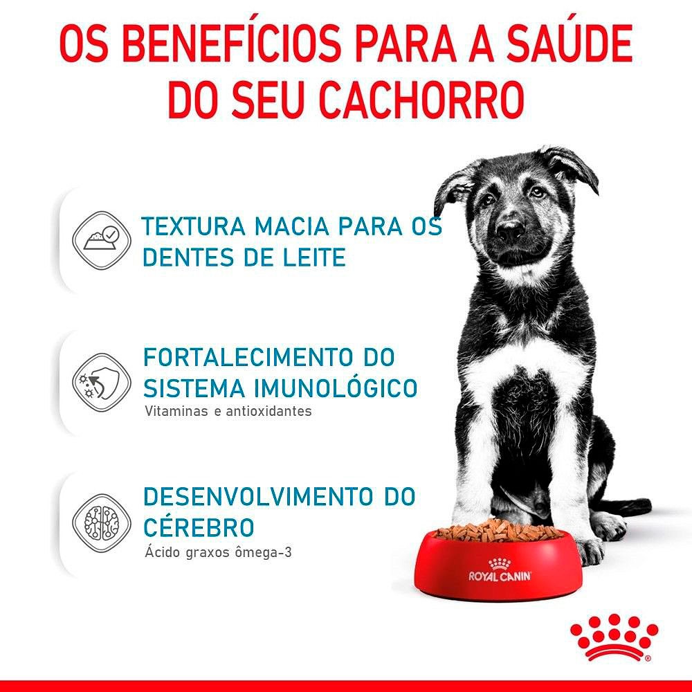 Ração Royal Canin Sachê Maxi Puppy para Cães Filhotes de Porte Grande 