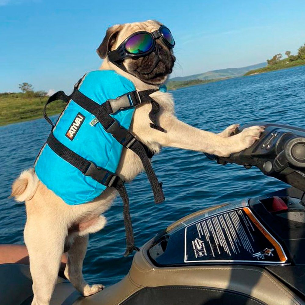 Colete Salva Vidas Náutica Ativa Pet Vest Azul para Cães