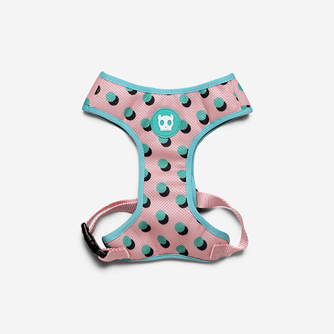 Peitoral para Cachorros Air Mesh Polka G