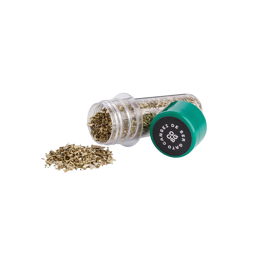 Catnip Cansei de Ser Gato 