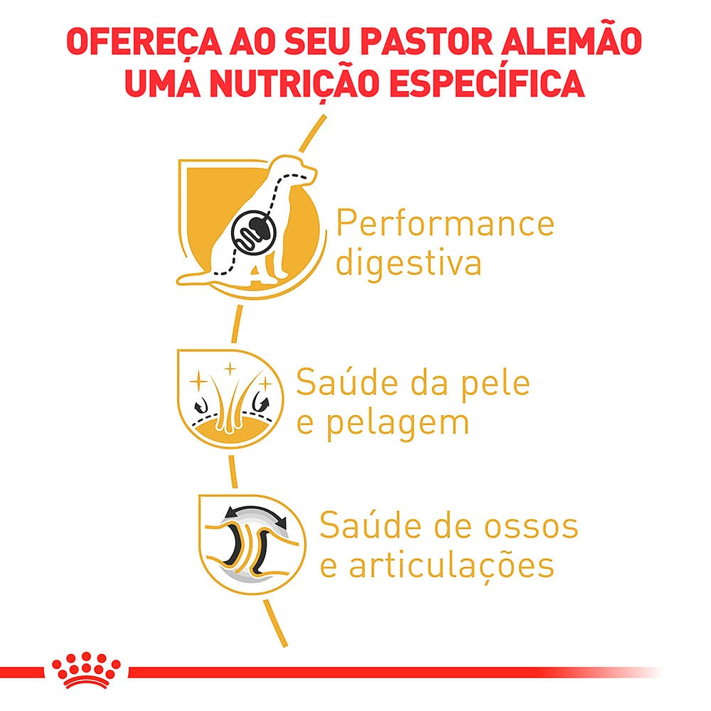 Ração Royal Canin para Cães Adultos Raça Pastor Alemão 
