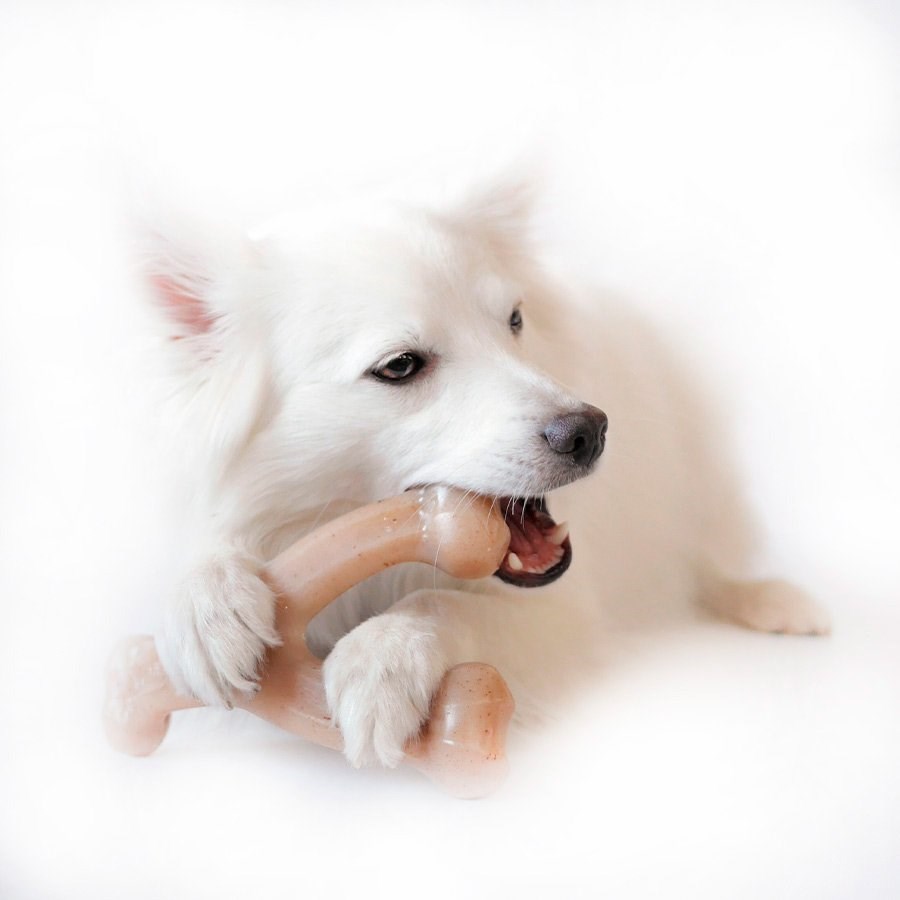 Brinquedo Benebone Wishbone sabor Frango