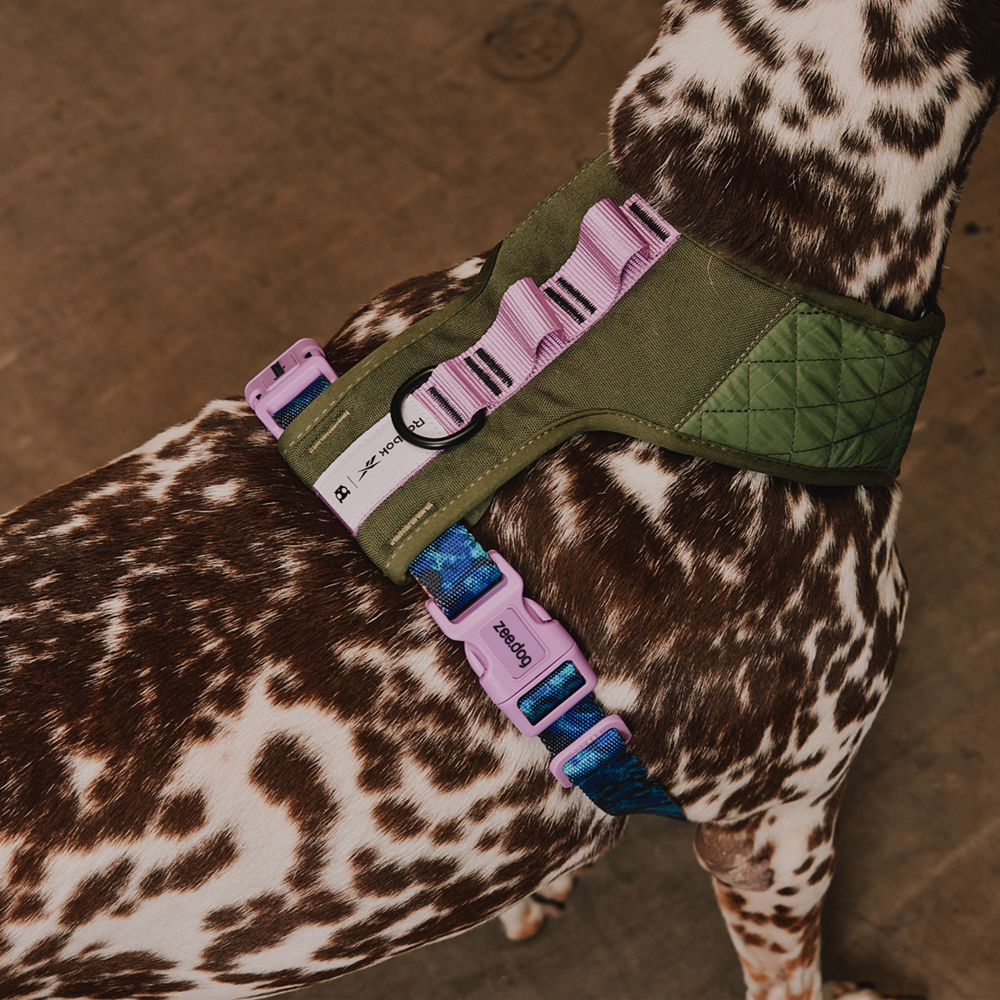 トックリラン Peitoral Antipuxão SofterWalk para Cachorros Reebok Suede | Zee.Dog