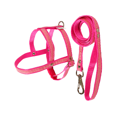 Peitoral com Guia Griff Dog Rosa para Cães 3