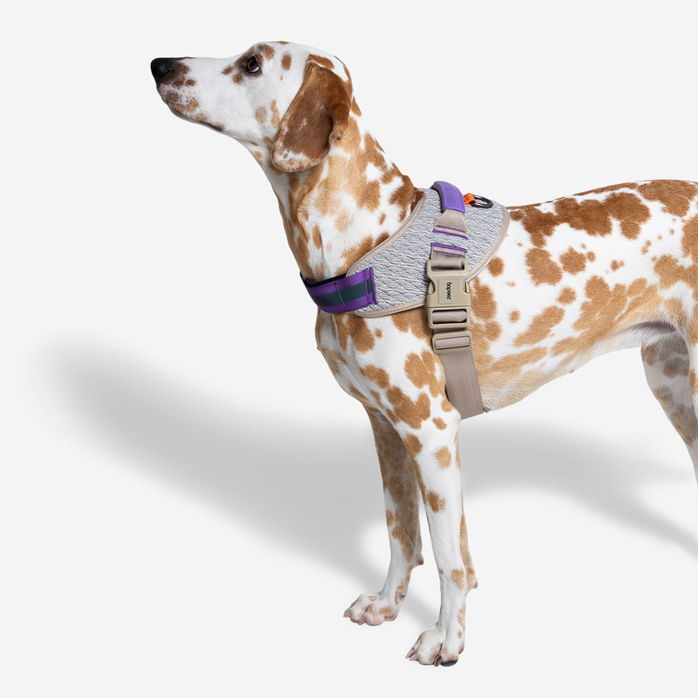 Peitoral para Cachorros FlyHarness ACG | Imagem 5