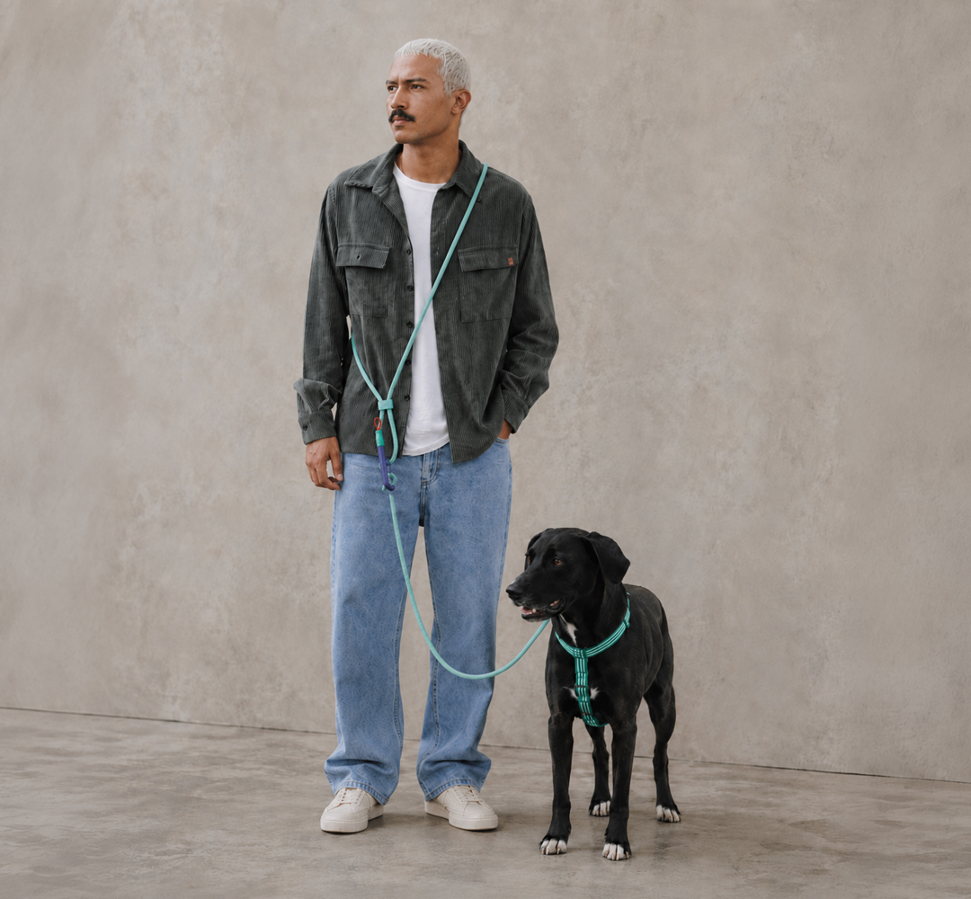 Guia Mãos Livres para Cachorros Velvet Vibes Vert | Imagem 3