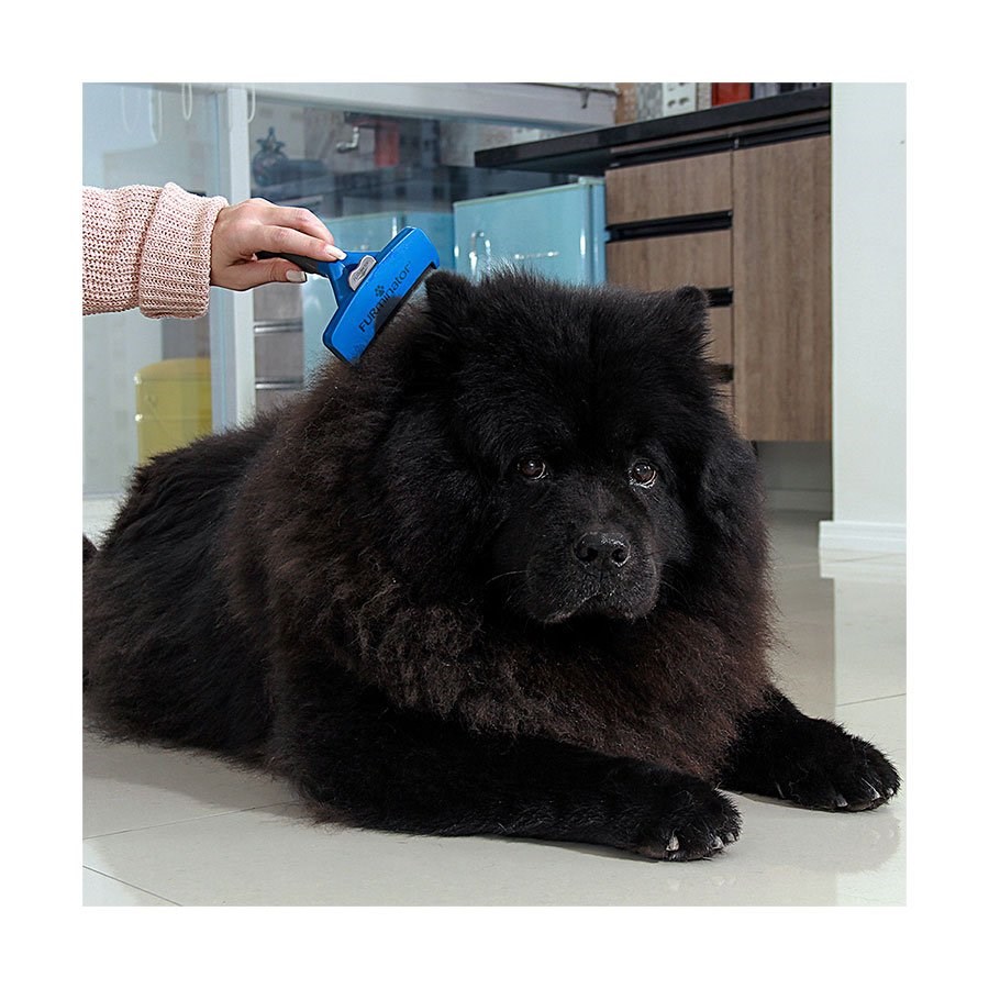 Escova New Furminator G para Cães de Pelo Curto