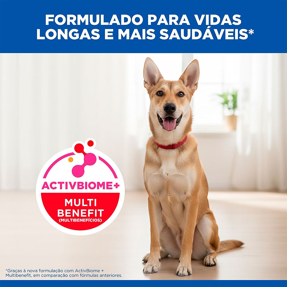 Ração Hill's Science Diet para Cães Adultos de Médio e Grande Porte