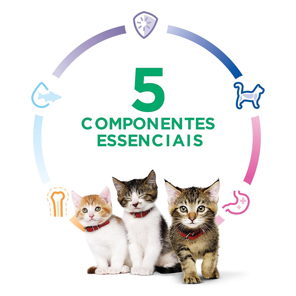 Ração Hill's Science Diet para Gatos Filhotes