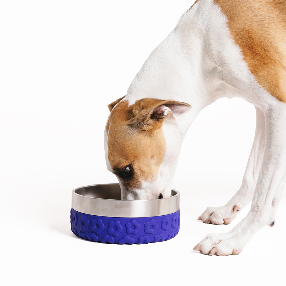 Comedouro para Cachorros Tuff Bowl FARM Rio Flor