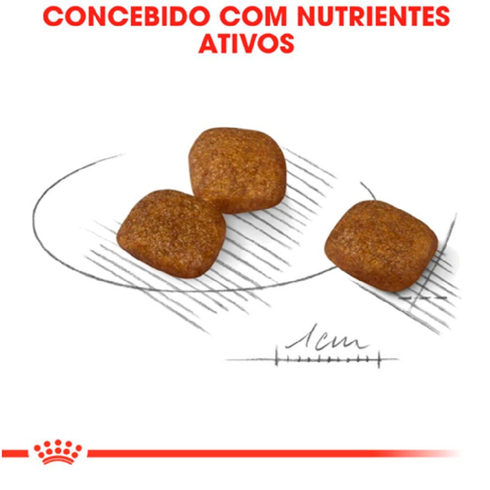 Ração Royal Canin Cuidado da Pelagem Coat Care Mini para Cães Adultos