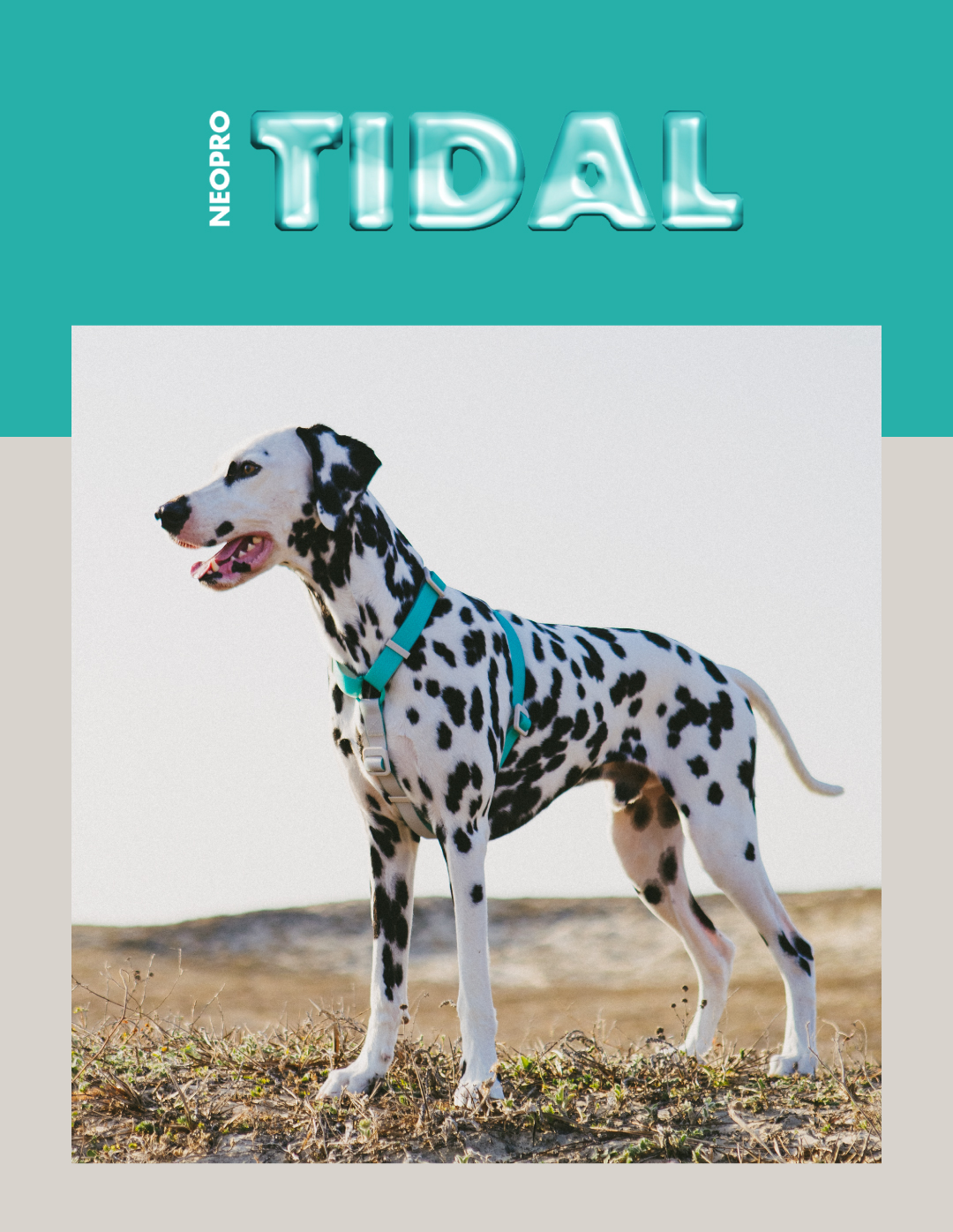 Peitoral para Cachorros H Neopro Tidal