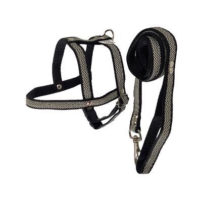 Peitoral com Guia Griff Dog Tradicional para Cães - Cores Sortidas Tam 2