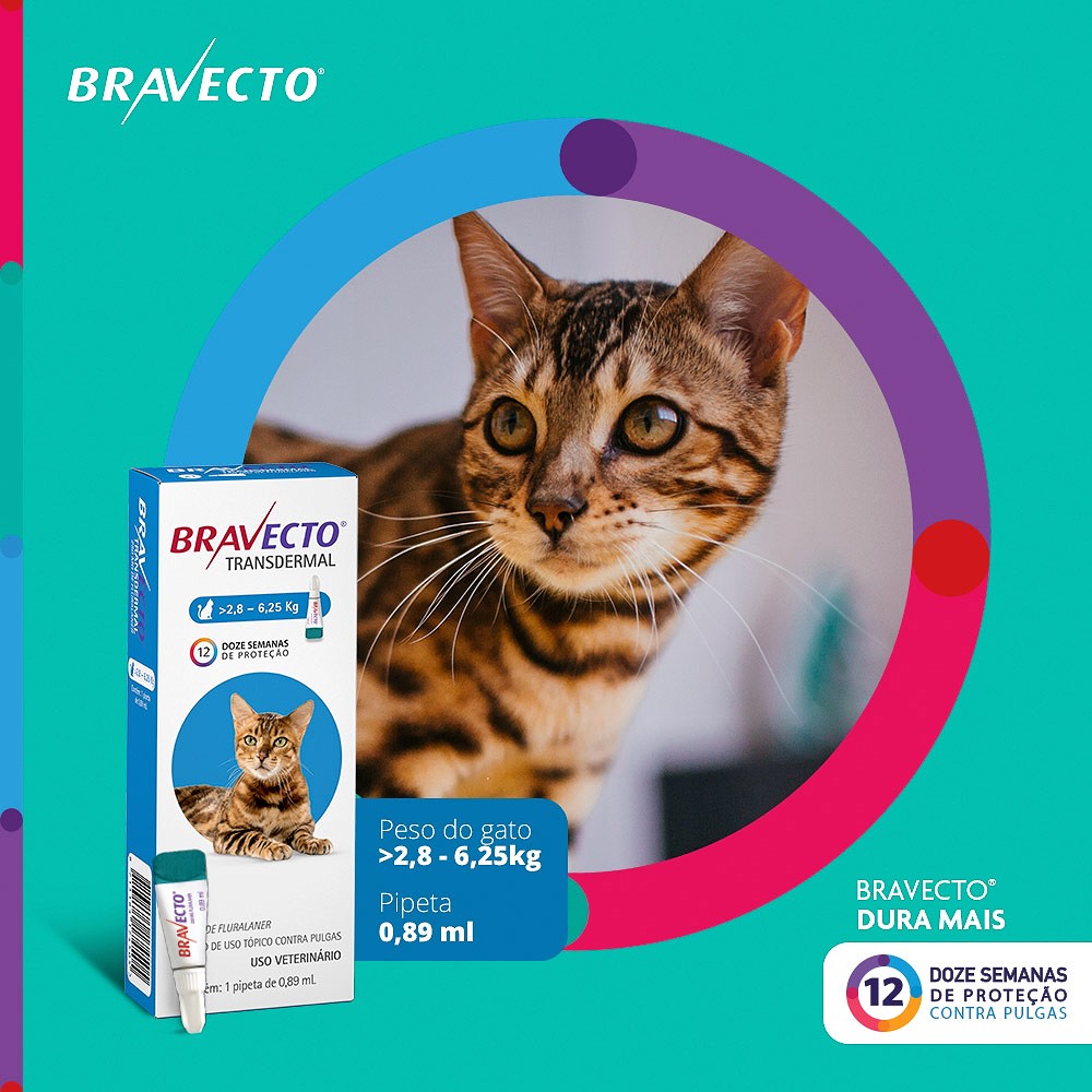 Antipulgas e Carrapatos Bravecto Transdermal para Gatos de 2,8kg a 6,25kg - 250mg