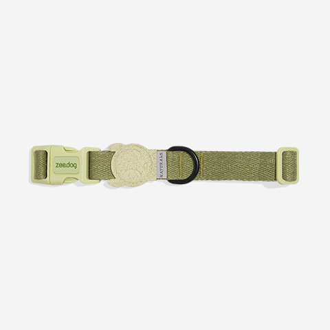 Coleira para Cachorros Naturals Moss M