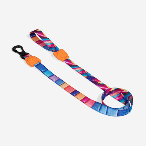 Guia para Cachorros H3D Bounce | Zee.Dog