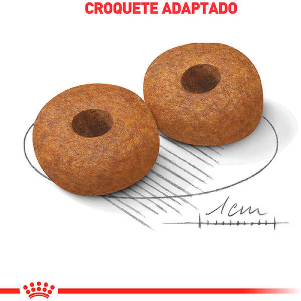 Ração Royal Canin Medium Ageing 10+ para Cães Adultos acima de 10 anos Porte Médio