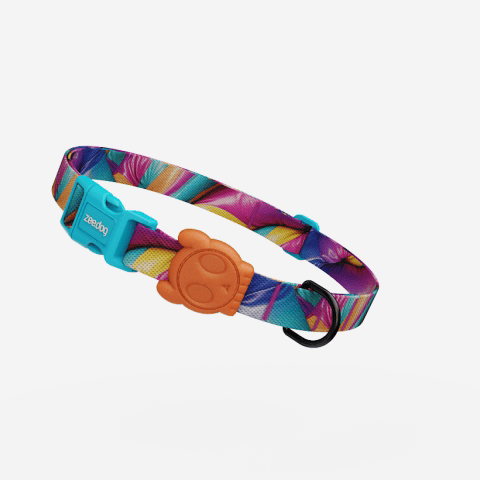 Coleira para Cachorros H3D Bounce | Zee.Dog