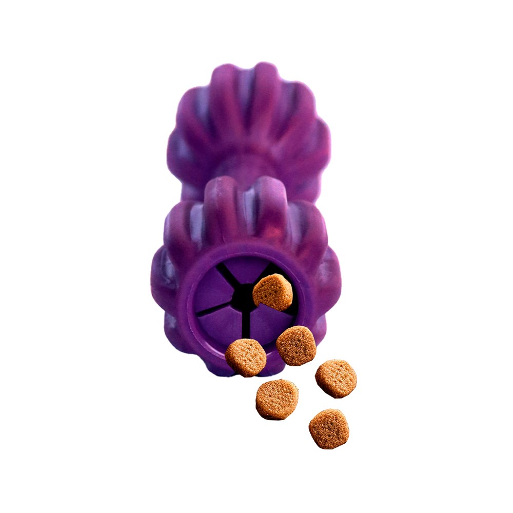 Brinquedo Amicus Fun Toys Pet Fit Roxo para Cães