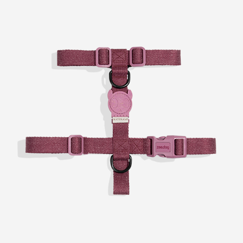 Peitoral para Cachorros H Naturals Hibiscus | Zee.Dog
