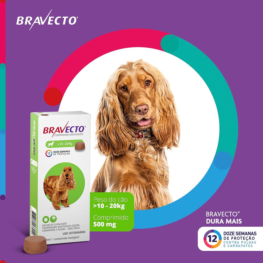 Antipulgas e Carrapatos Bravecto para Cães de 10kg a 20kg - 500mg