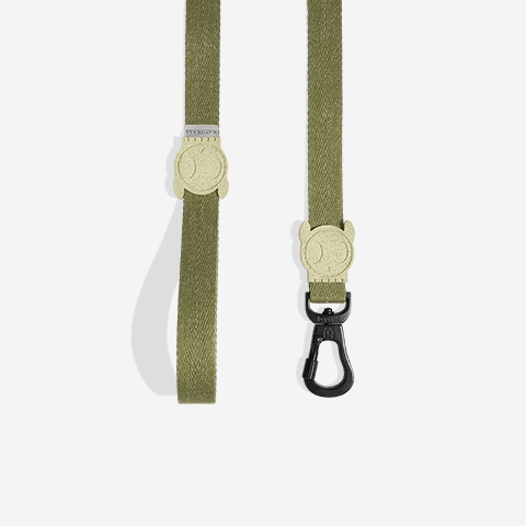 Guia para Cachorros Naturals Moss P