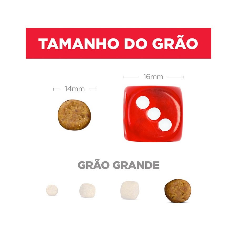 Ração Hill's Science Diet para Cães Filhotes Raças Grandes