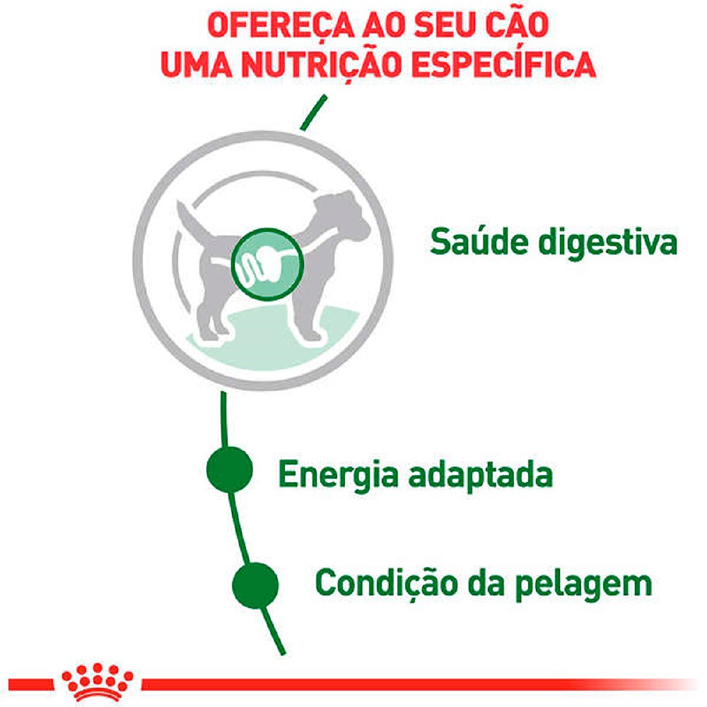 Ração Royal Canin Sachê Mini Adult para Cães Adultos de Porte Pequeno