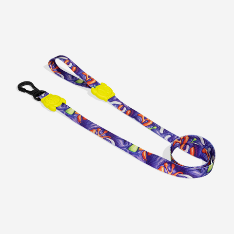 Guia para Cachorros H3D Puff | Zee.Dog