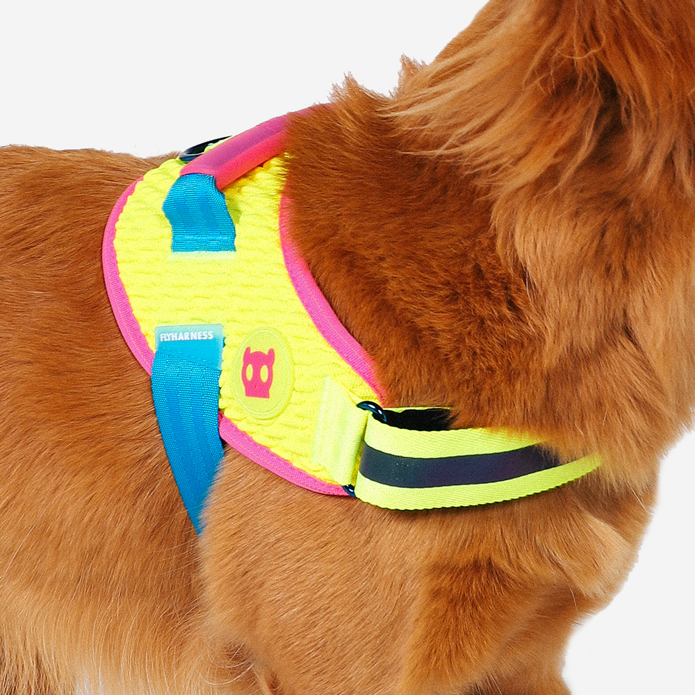 Peitoral para Cachorros FlyHarness Cmyk | Zee.Dog