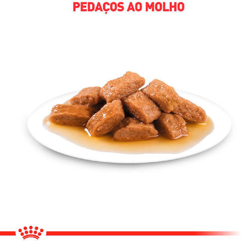 Ração Royal Canin Sachê Medium Adult para Cães Adultos de Porte Médio 