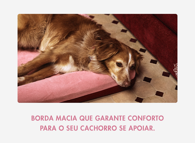 Cama para Cachorros Zee.Bed Najima 