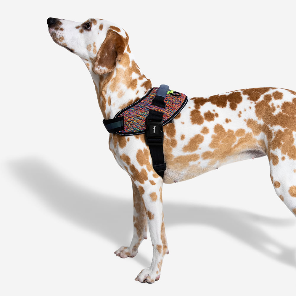Peitoral para Cachorros FlyHarness Vortex | Imagem 5