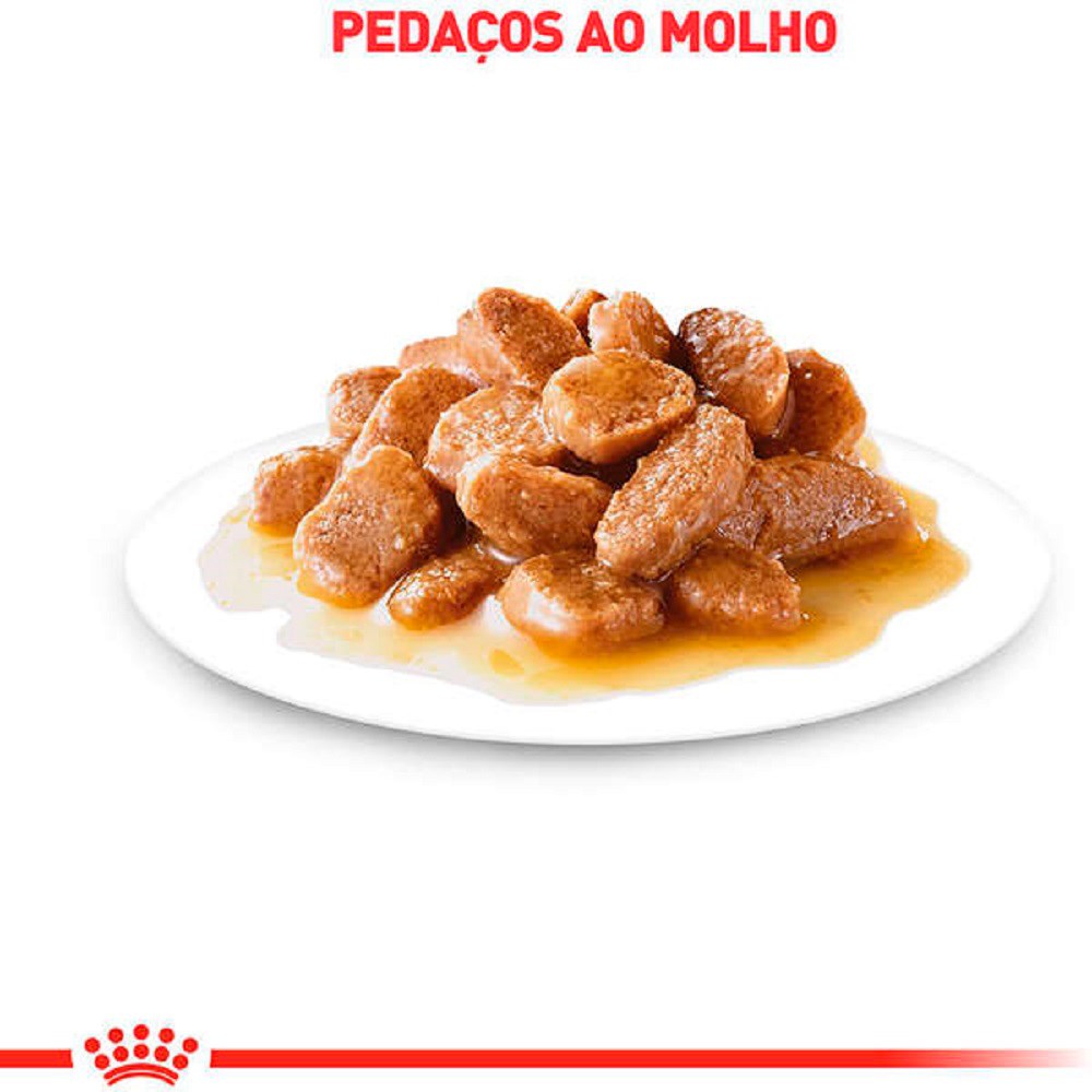 Ração Royal Canin  Sachê Mini Ageing 12+