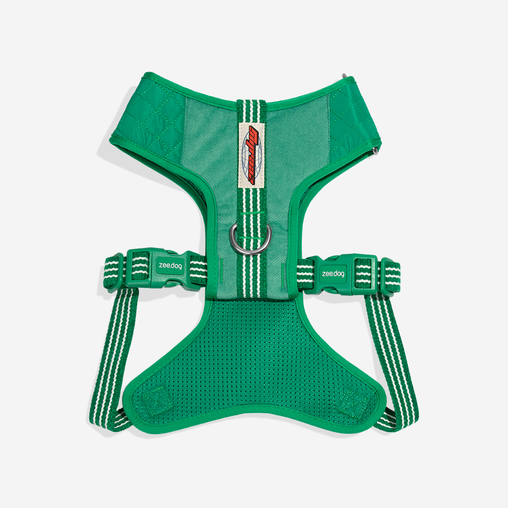 Peitoral para Cachorros Air Mesh Ajustável Velvet Vibes Vert | Imagem 2