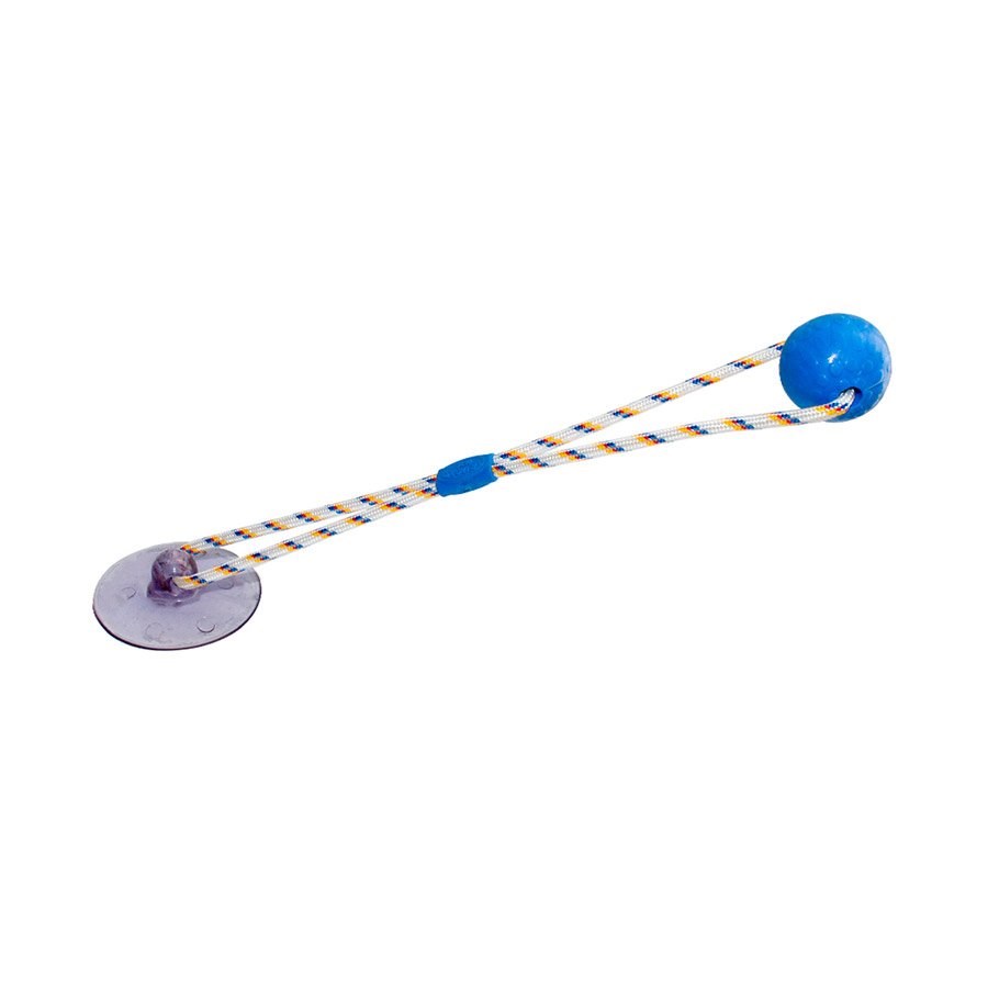 Brinquedo Truqys Push Ball Pet Azul