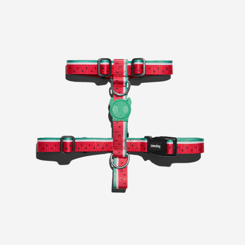 Peitoral para Cachorros H Lola | Zee.Dog