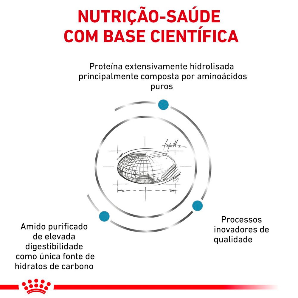 Ração Royal Canin Veterinary Diet Anallergenic para Cães Adultos