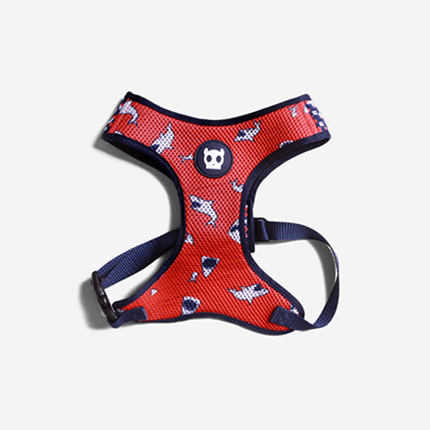 Peitoral para Cachorros Air Mesh Chewy PP