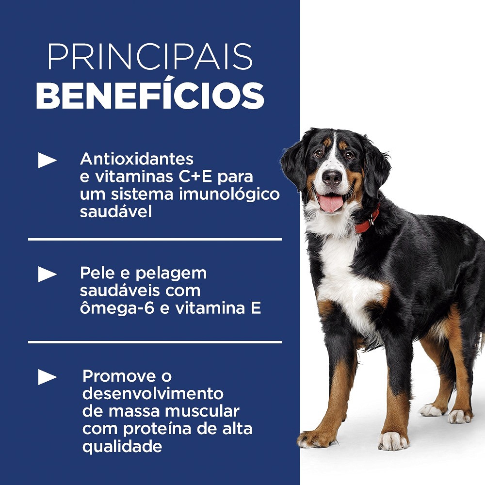 Ração Hill's Science Diet para Cães Adultos de Raças Grandes