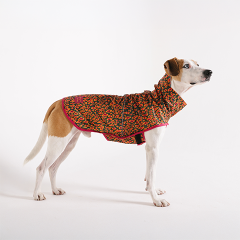 Capa de Chuva para Cachorros FARM Rio Selva | Zee.Dog