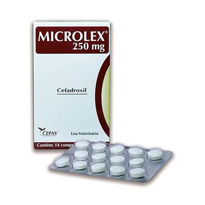 Antibiótico Microlex 250 mg para Cães e Gatos 250mg