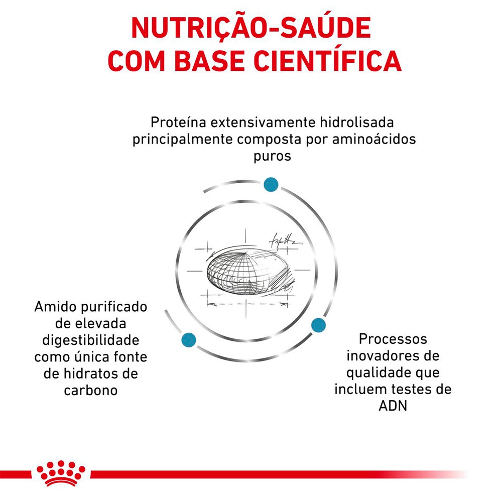 Ração Royal Canin Veterinary Diet Anallergenic para Gatos Adultos