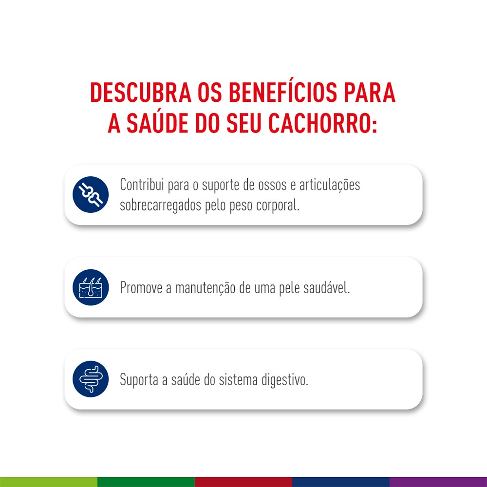 Ração Seca Royal Canin Maxi Adult 5+ para Cães Adultos de Porte Grande com 5 Anos ou mais 
