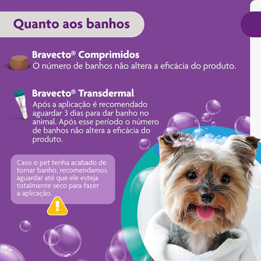 Antipulgas e Carrapatos Bravecto para Cães de 2kg a 4,5kg - 112,5mg 