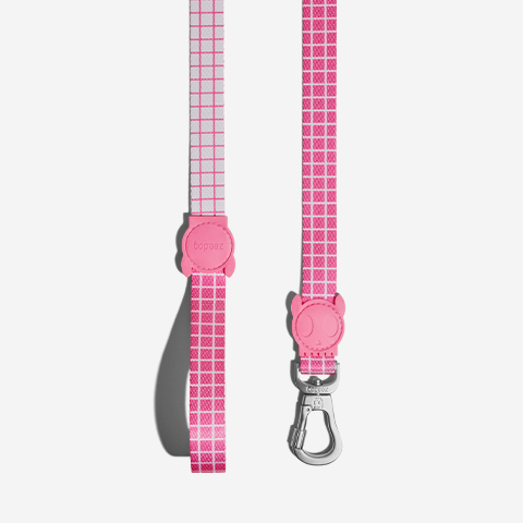 Guia para Cachorros Pink Wave | Zee.Dog