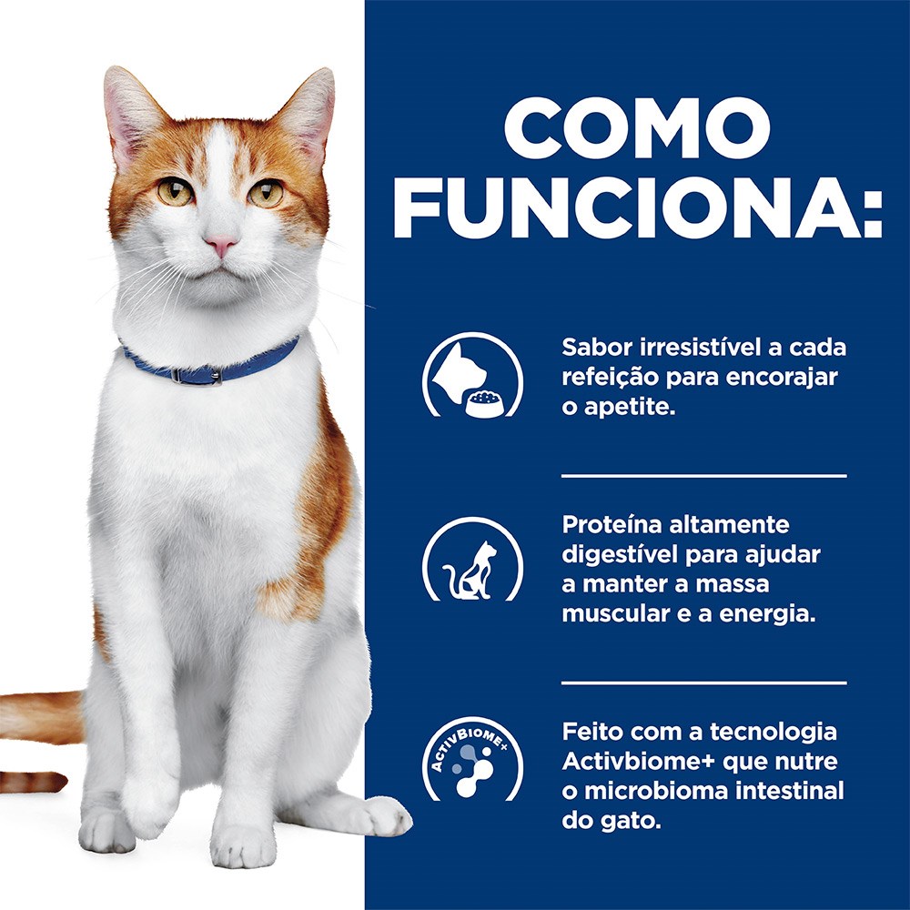 Ração Ùmida Hill's Prescription Diet ONC Care Cuidado Oncológico para Gatos