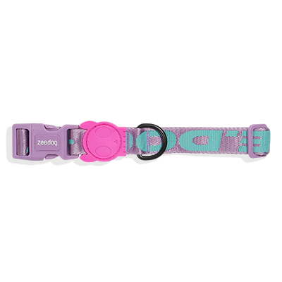 Coleira para Cachorros Jacquard Aura P
