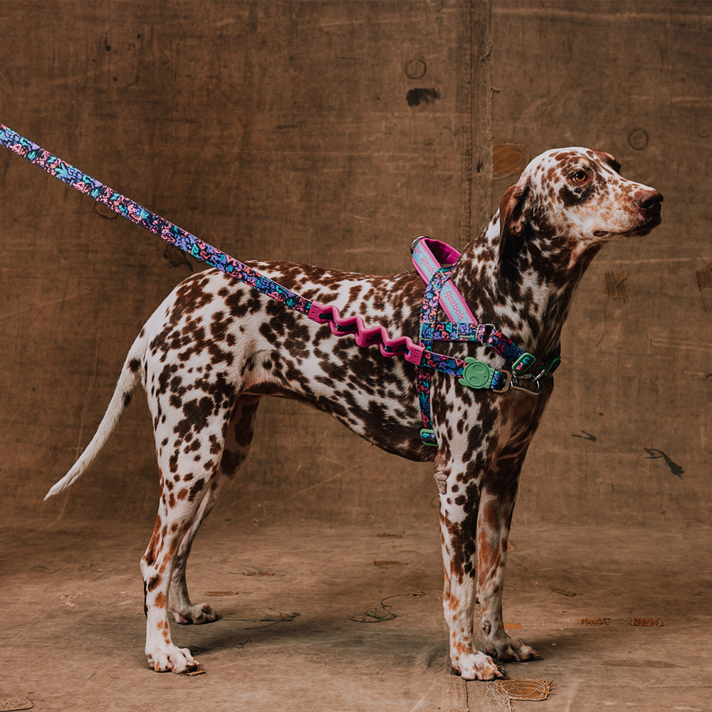 トックリラン Peitoral Antipuxão SofterWalk para Cachorros Reebok Suede | Zee.Dog